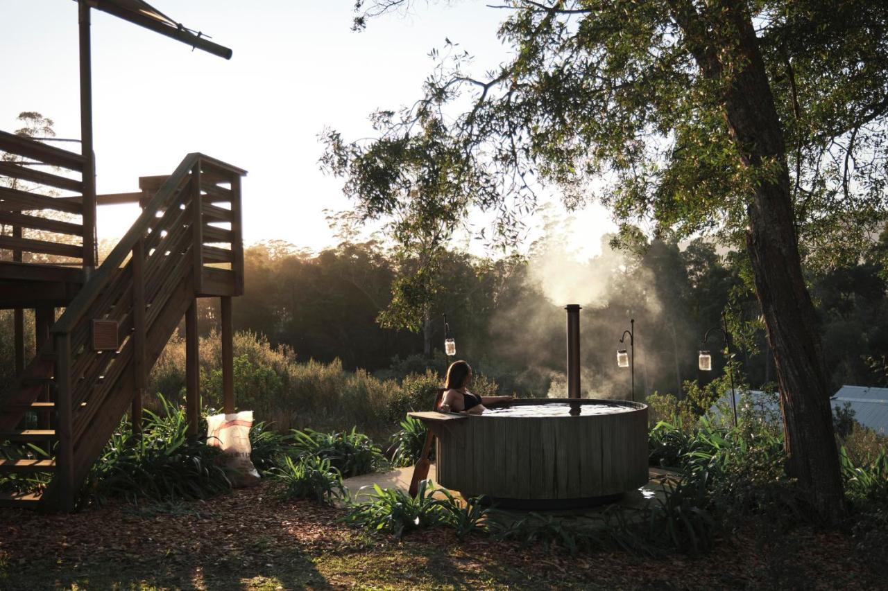 Africamps At Oakhurst วิลเดอร์เนส ภายนอก รูปภาพ