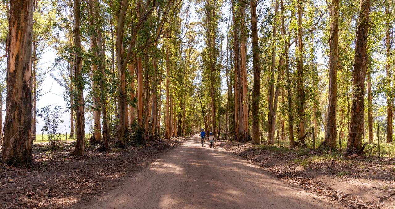 Africamps At Oakhurst วิลเดอร์เนส ภายนอก รูปภาพ